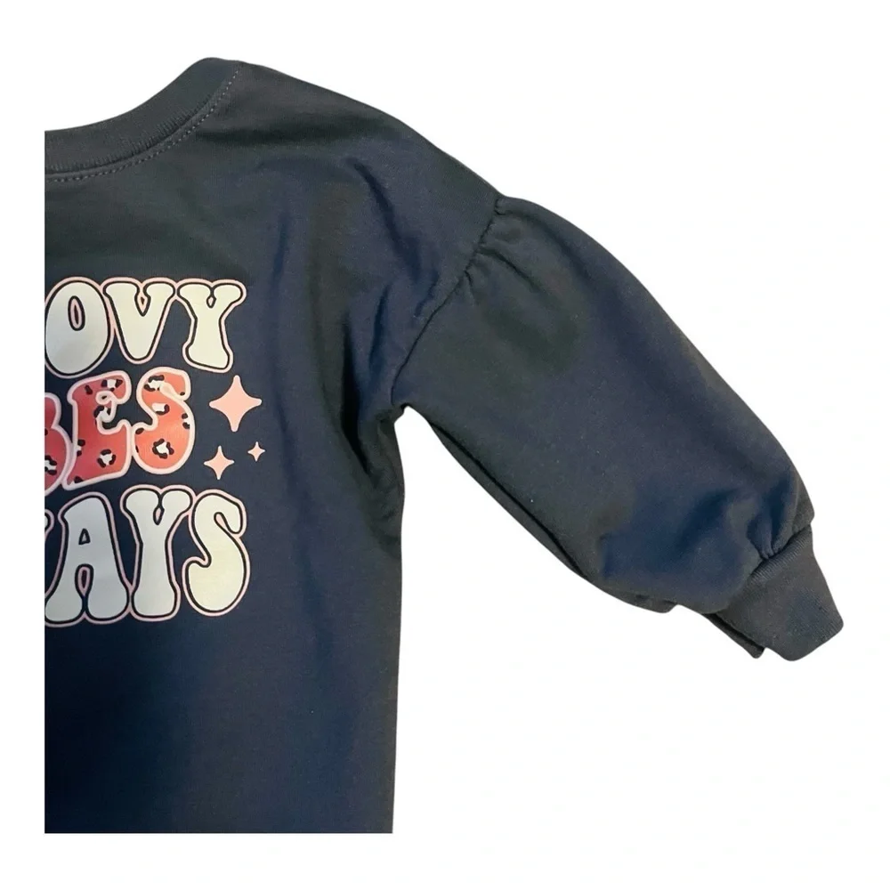 Garanimals French Terry graphic sweatshirt top slate gray Girls 12 Months